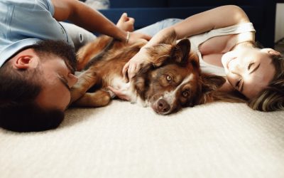 How Pet Affects Mental Health