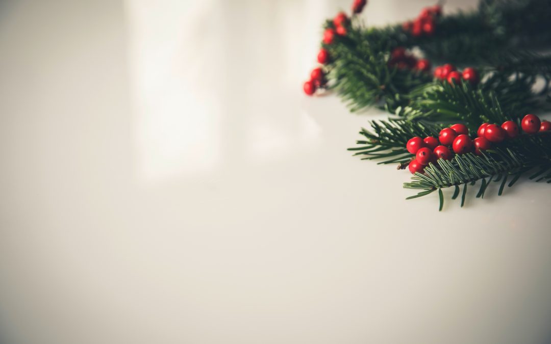 Navigating Grief During the Holiday Season: Finding Comfort and Connection